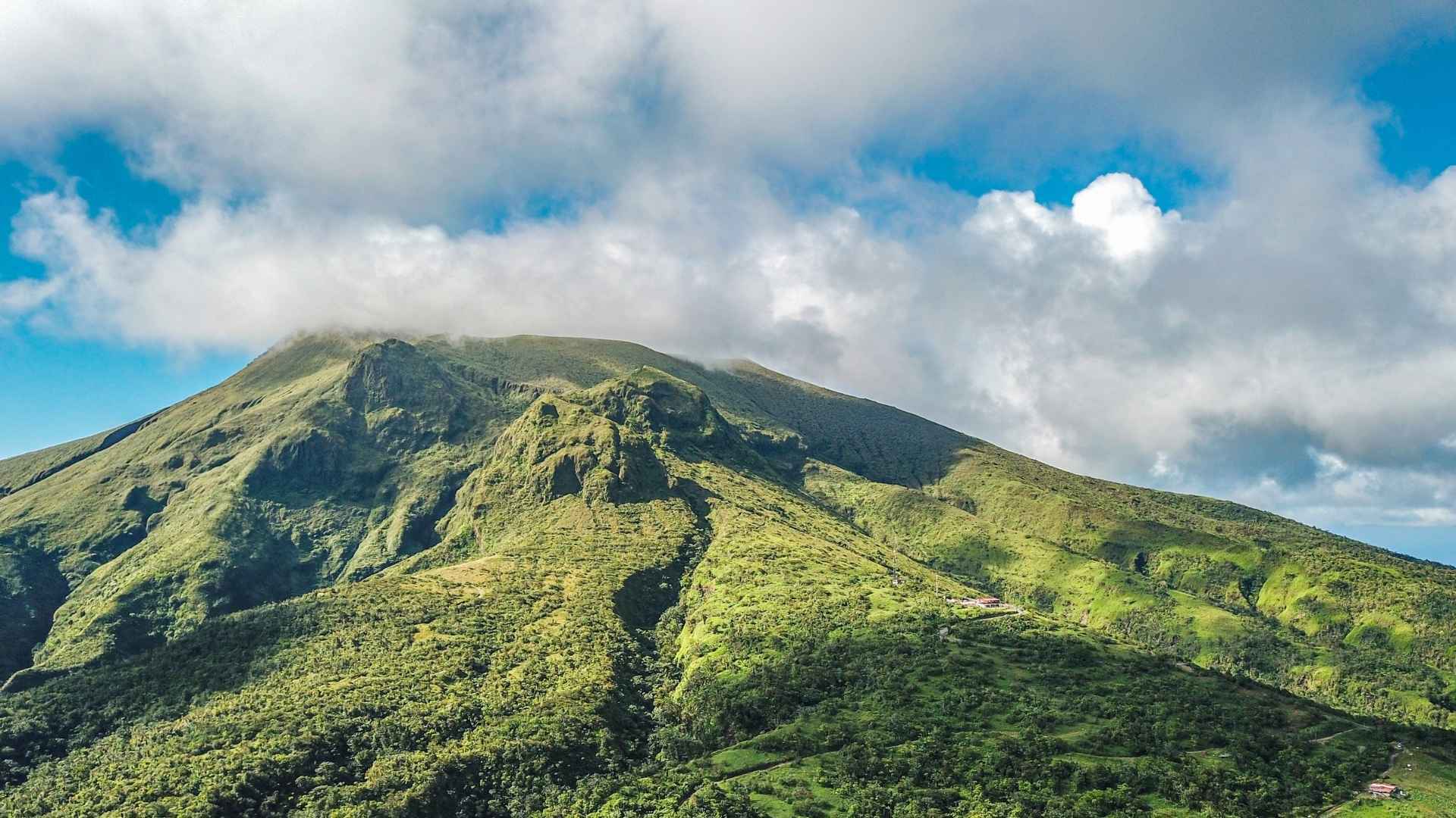 PCF-Nature-Forest-Air